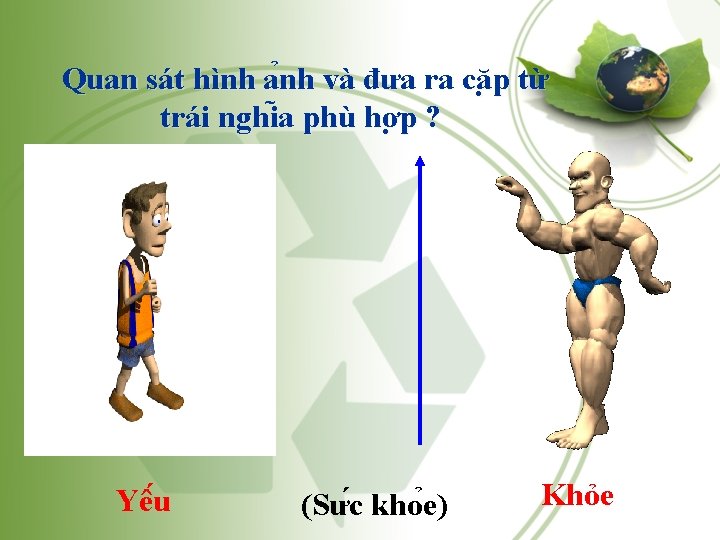 Quan sát hình a nh và đưa ra că p từ trái nghi a Quan sát hình a nh và đưa ra că p từ trái nghi a