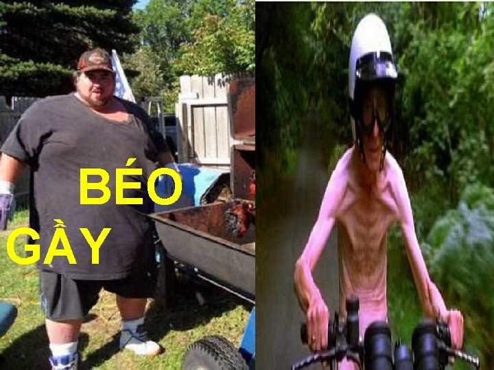 BÉO GẦY BÉO GẦY