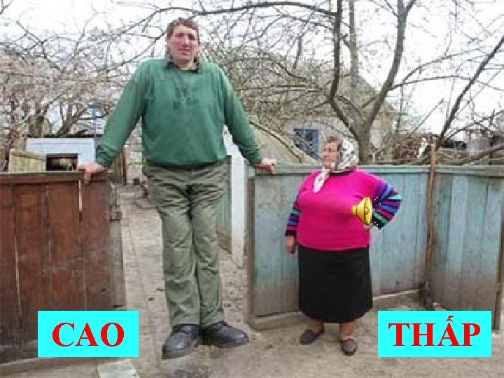 CAO THẤP CAO THẤP