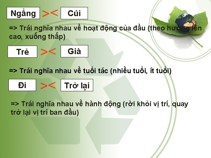 Ngẩng >< Cúi => Trái nghĩa nhau về hoạt động của đầu (theo hướng Ngẩng >< Cúi => Trái nghĩa nhau về hoạt động của đầu (theo hướng