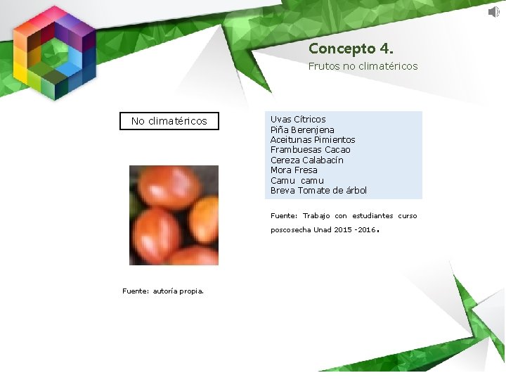 Concepto 4. Frutos no climatéricos No climatéricos Uvas Cítricos Piña Berenjena Aceitunas Pimientos Frambuesas