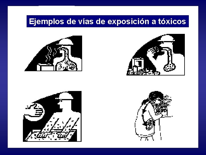 Cuatro rutas de exposición Ejemplos de vías de exposición a. Ingestión tóxicos Inhalación Cutánea