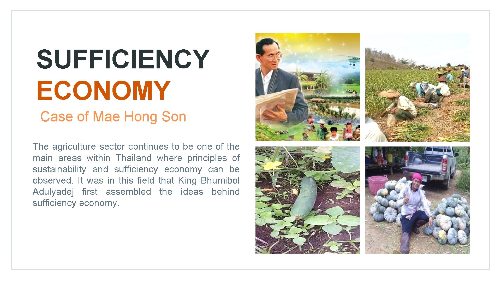 SUFFICIENCY ECONOMY Case of Mae Hong Son The agriculture sector continues to be one