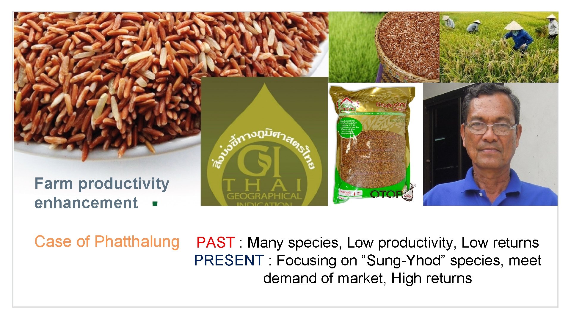 Farm productivity enhancement Case of Phatthalung PAST : Many species, Low productivity, Low returns