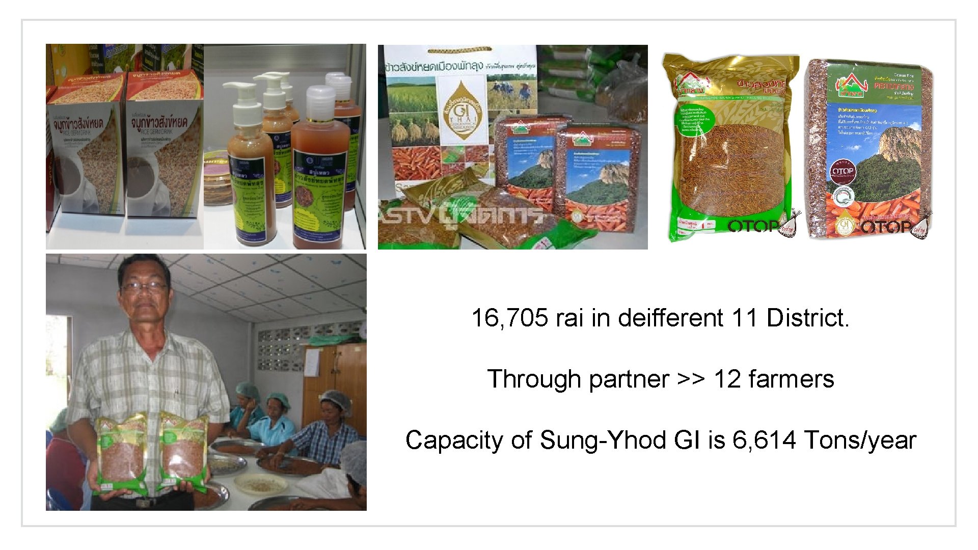 16, 705 rai in deifferent 11 District. Through partner >> 12 farmers Capacity of