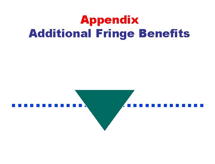 Appendix Additional Fringe Benefits . . . . 