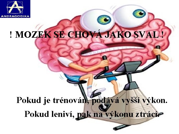  ! MOZEK SE CHOVÁ JAKO SVAL ! Pokud je trénován, podává vyšší výkon.