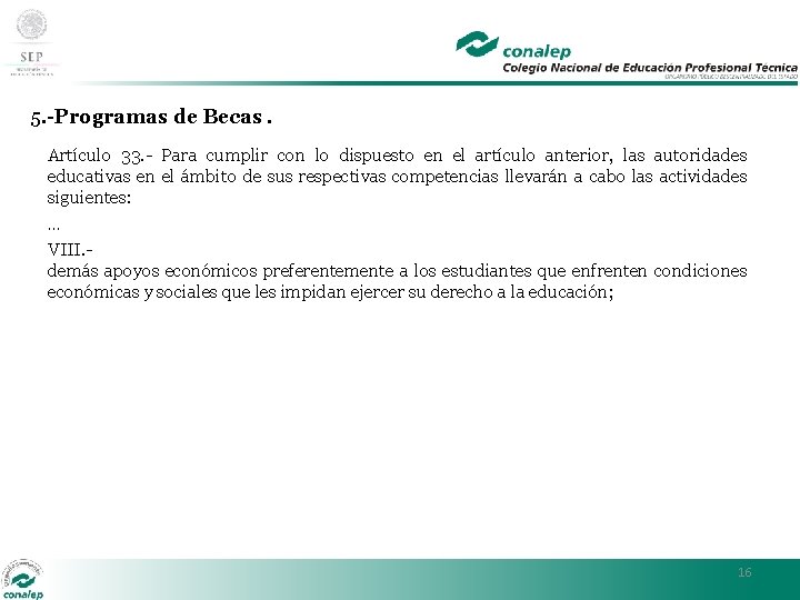 5. -Programas de Becas. Artículo 33. - Para cumplir con lo dispuesto en el