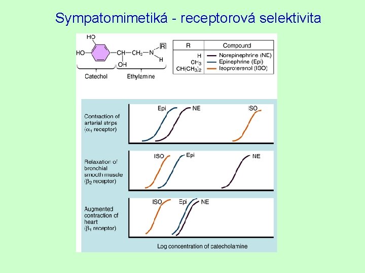 Sympatomimetiká - receptorová selektivita 