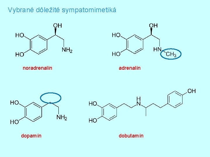 Vybrané dôležité sympatomimetiká noradrenalín dopamín adrenalín dobutamín 
