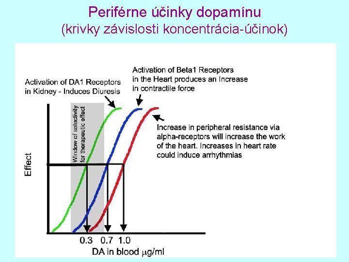Periférne účinky dopamínu (krivky závislosti koncentrácia-účinok) 