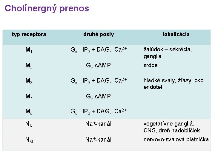 Cholínergný prenos typ receptora druhé posly lokalizácia M 1 Gq , IP 3 +