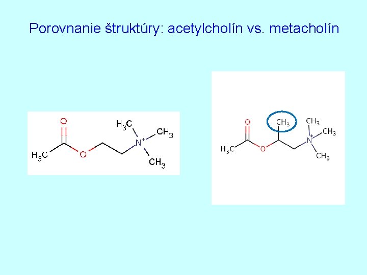 Porovnanie štruktúry: acetylcholín vs. metacholín 