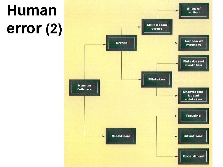 Human error (2) Human error (2)