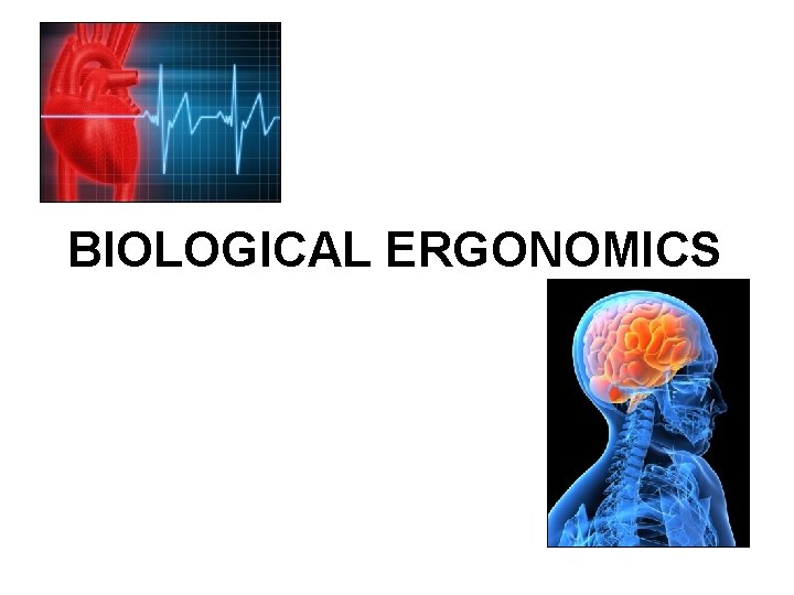 BIOLOGICAL ERGONOMICS BIOLOGICAL ERGONOMICS