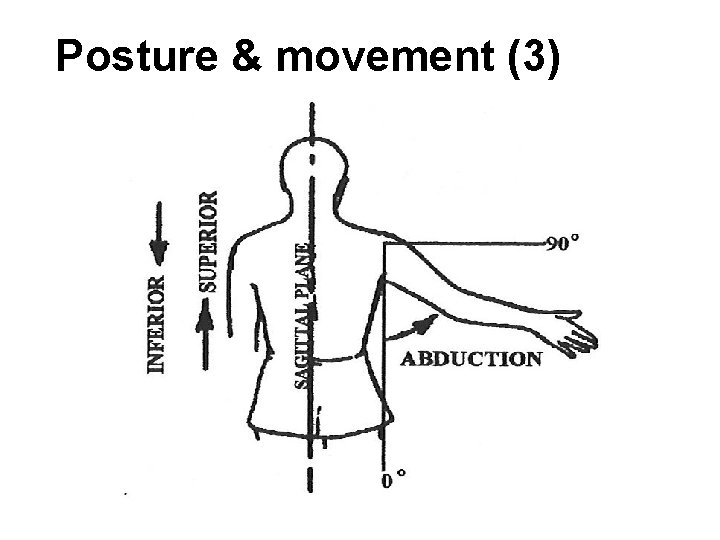 Posture & movement (3) Posture & movement (3)