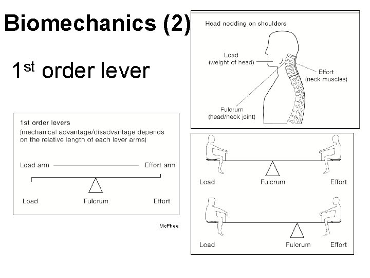 Biomechanics (2) st 1 order lever Mc. Phee Biomechanics (2) st 1 order lever Mc. Phee