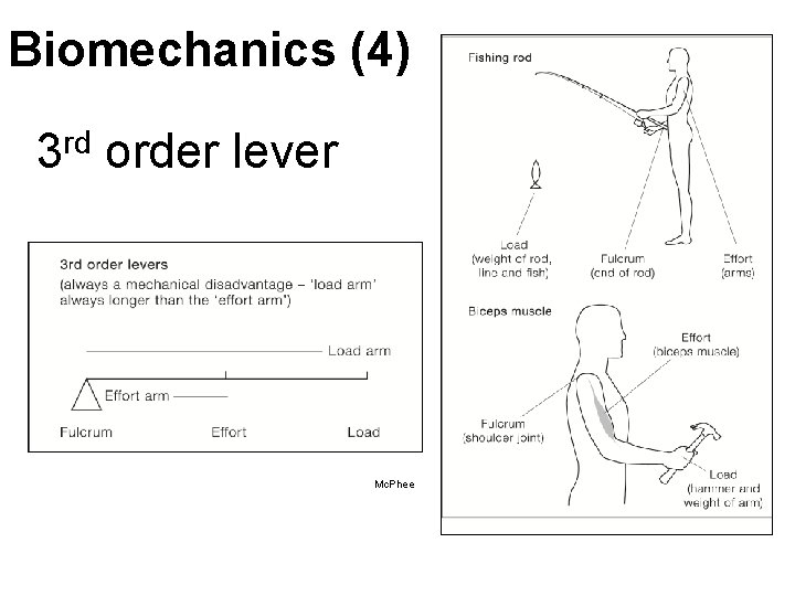 Biomechanics (4) rd 3 order lever Mc. Phee Biomechanics (4) rd 3 order lever Mc. Phee