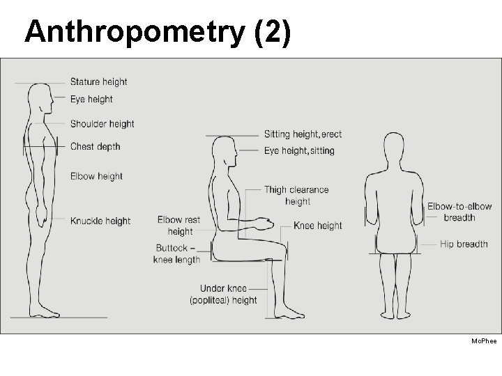 Anthropometry (2) Mc. Phee Anthropometry (2) Mc. Phee
