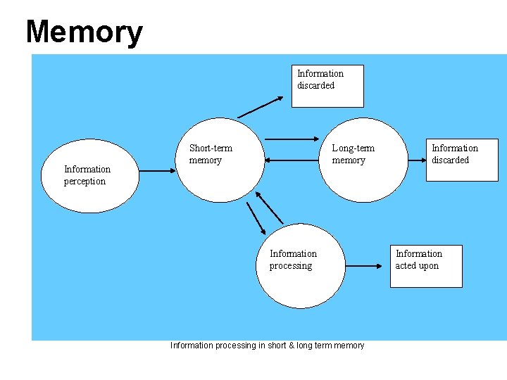 Memory Information discarded Information perception Short-term memory Long-term memory Information processing in short & Memory Information discarded Information perception Short-term memory Long-term memory Information processing in short &