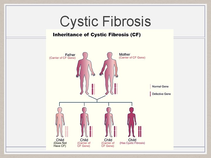 Cystic Fibrosis 