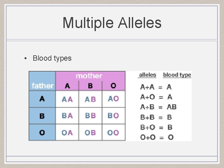 Multiple Alleles • Blood types 