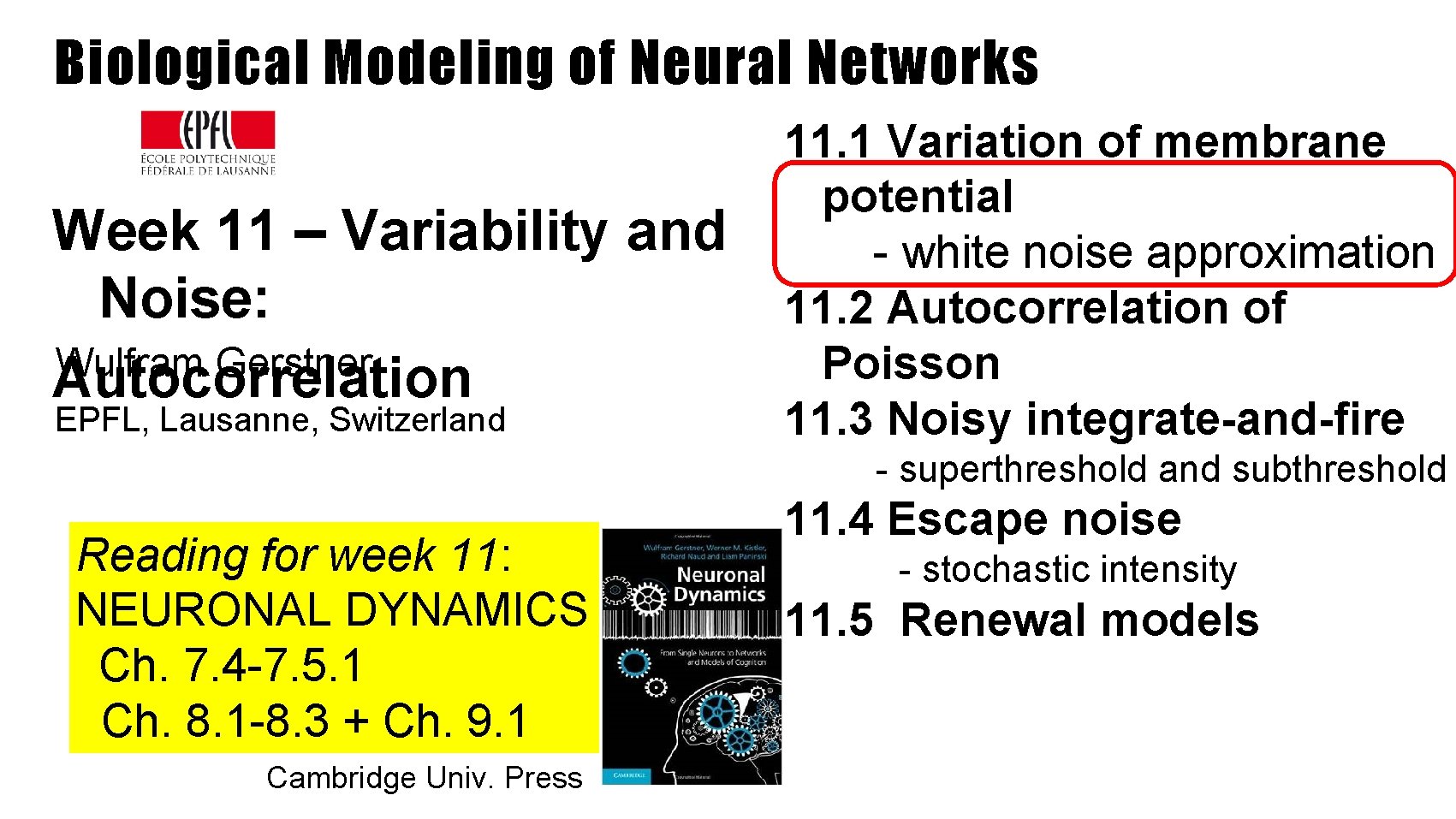 Biological Modeling of Neural Networks Week 11 – Variability and Noise: Wulfram Gerstner Autocorrelation