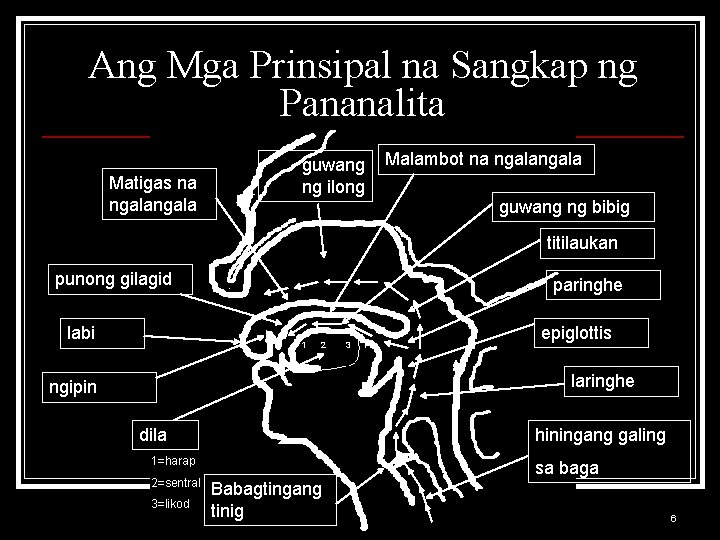 Ang Mga Prinsipal na Sangkap ng Pananalita Matigas na ngala guwang ng ilong Malambot