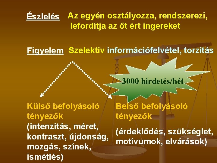 Észlelés Az egyén osztályozza, rendszerezi, lefordítja az őt ért ingereket Figyelem Szelektív információfelvétel, torzítás