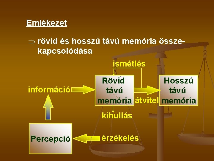 Emlékezet Þ rövid és hosszú távú memória össze- kapcsolódása ismétlés információ Rövid Hosszú távú