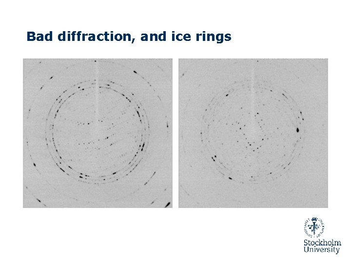 Crystal Mounting and Data Collection 2018 10 01