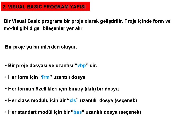 2. VISUAL BASIC PROGRAM YAPISI Bir Visual Basic programı bir proje olarak geliştirilir. Proje