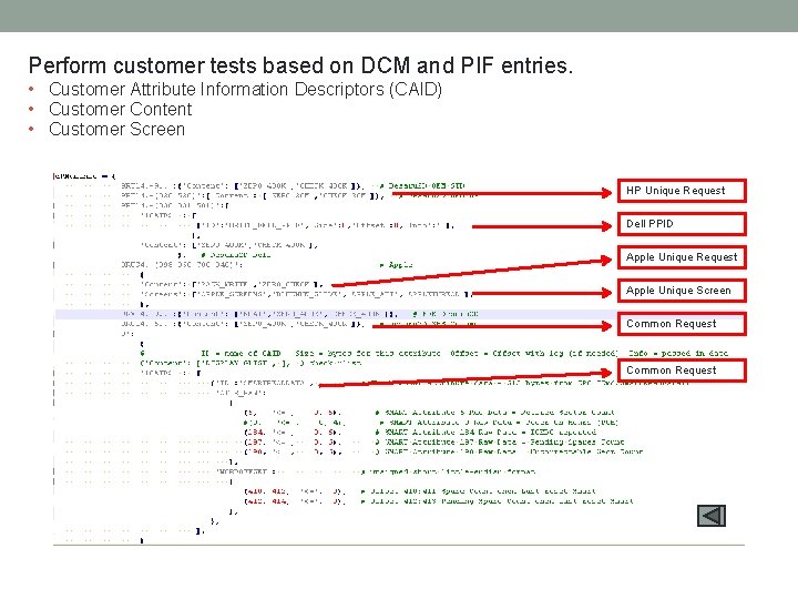 Perform customer tests based on DCM and PIF entries. • Customer Attribute Information Descriptors