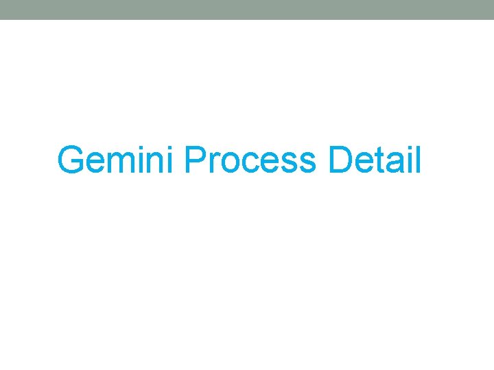 Gemini Process Detail 