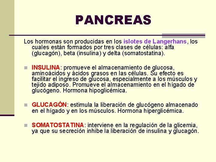 PANCREAS Los hormonas son producidas en los islotes de Langerhans, los cuales están formados