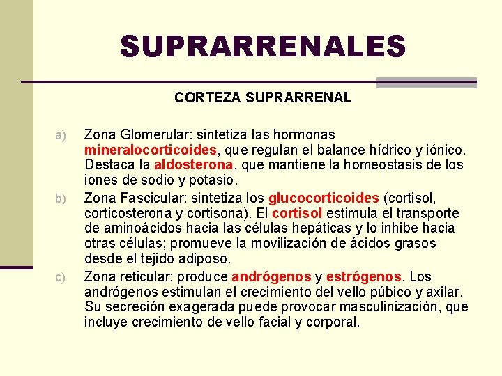 SUPRARRENALES CORTEZA SUPRARRENAL a) b) c) Zona Glomerular: sintetiza las hormonas mineralocorticoides, que regulan