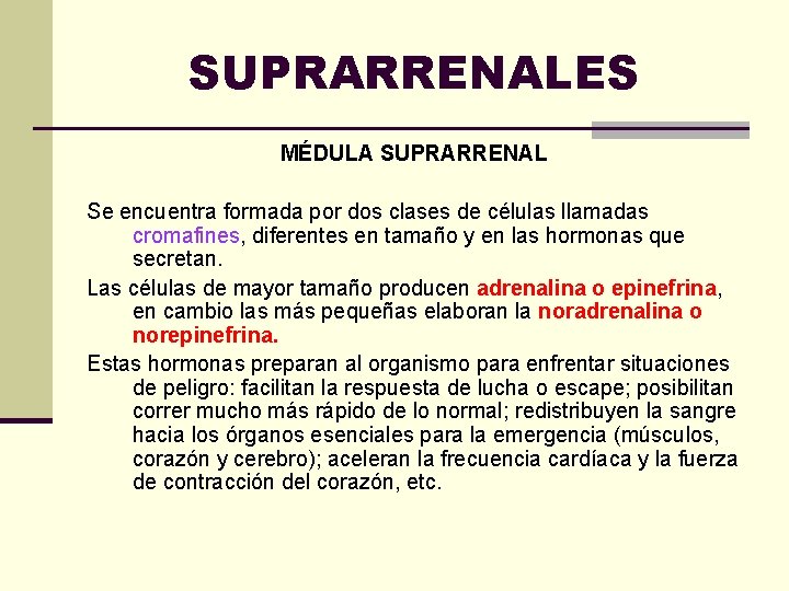 SUPRARRENALES MÉDULA SUPRARRENAL Se encuentra formada por dos clases de células llamadas cromafines, diferentes