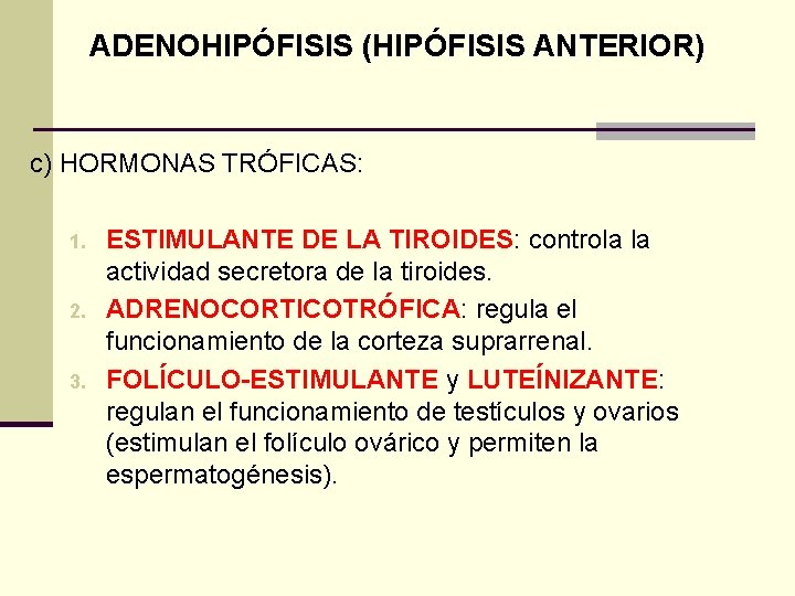 ADENOHIPÓFISIS (HIPÓFISIS ANTERIOR) c) HORMONAS TRÓFICAS: 1. 2. 3. ESTIMULANTE DE LA TIROIDES: controla