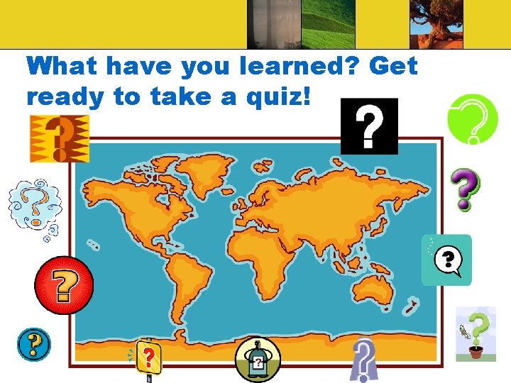 What have you learned? Get ready to take a quiz! 
