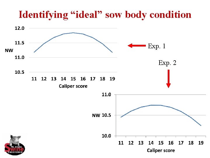 Identifying “ideal” sow body condition Exp. 1 Exp. 2 