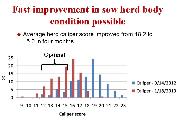 Fast improvement in sow herd body condition possible u Average herd caliper score improved