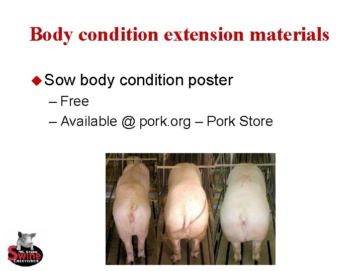 Body condition extension materials u Sow body condition poster – Free – Available @