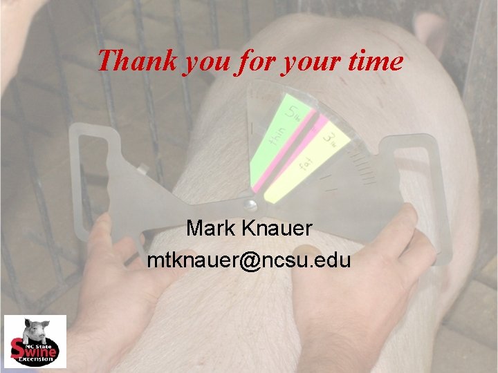 Thank you for your time Mark Knauer mtknauer@ncsu. edu 