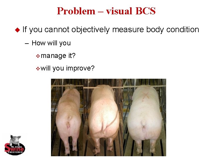 Problem – visual BCS u If you cannot objectively measure body condition – How