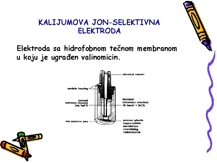 KALIJUMOVA JON-SELEKTIVNA ELEKTRODA Elektroda sa hidrofobnom tečnom membranom u koju je ugrađen valinomicin. 