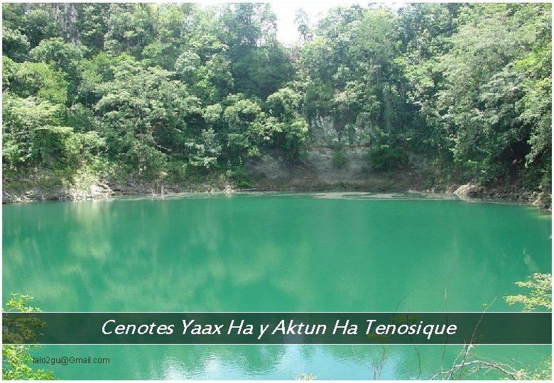 Cenotes Yaax Ha y Aktun Ha Tenosique lalo 2 gu@Gmail. com 