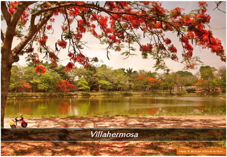 Villahermosa Photo © 2010 por JETOVAR de flickr. 