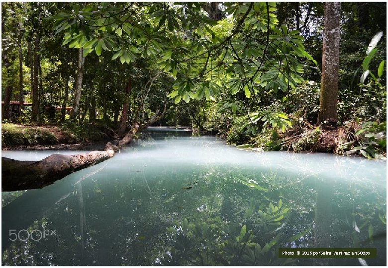Pantano de Centla Photo © 2016 por Saira Martínez en 500 px Photo ©