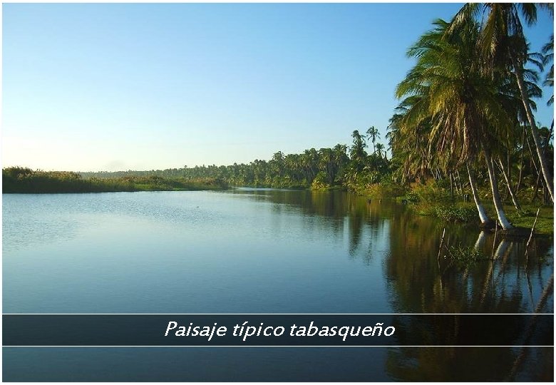 Paisaje típico tabasqueño 