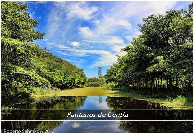 Pantanos de Centla 